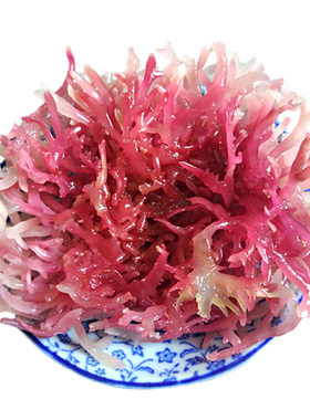 新晒石花菜500g血燕窝海石花