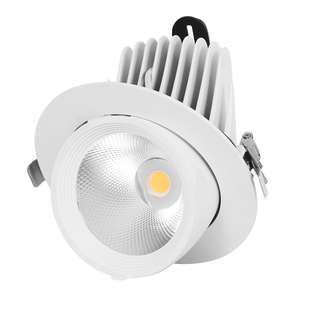 LEDCOB象鼻灯射灯筒灯嵌入式天花灯服装店360度背景墙灯20w30w瓦