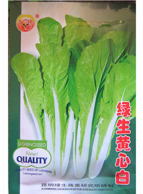 云南包邮绿生30g昆明蔬菜种子