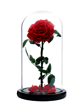 书房摆件玻璃防尘展示黑漆底