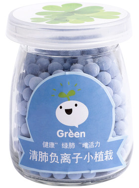 迷你绿植小盆栽室内盆景植物