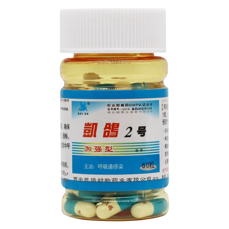 凯鸽种鸽调理套装组合鸽子药大全