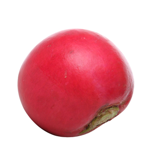 东北雌性红萝卜种子大红萝卜春季秋季大田高产抗病农家四季播盆栽