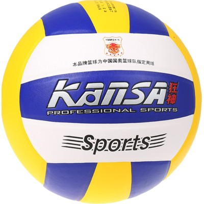 狂神排球比赛专用球儿童女生小学生中考5号初中生成人软式气排球