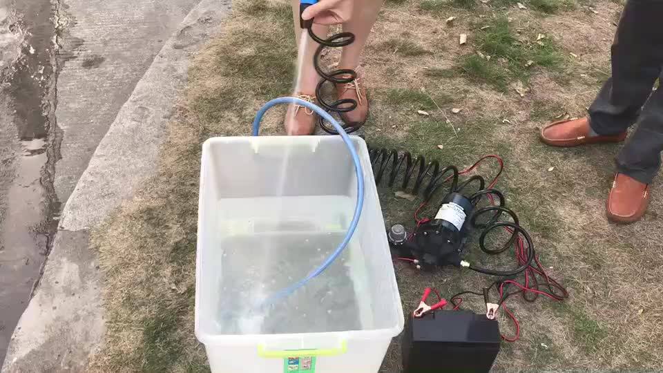 Singflo 12v Water Pump 20lpm 70 Psi Best Deck Wash Pump/raw Water