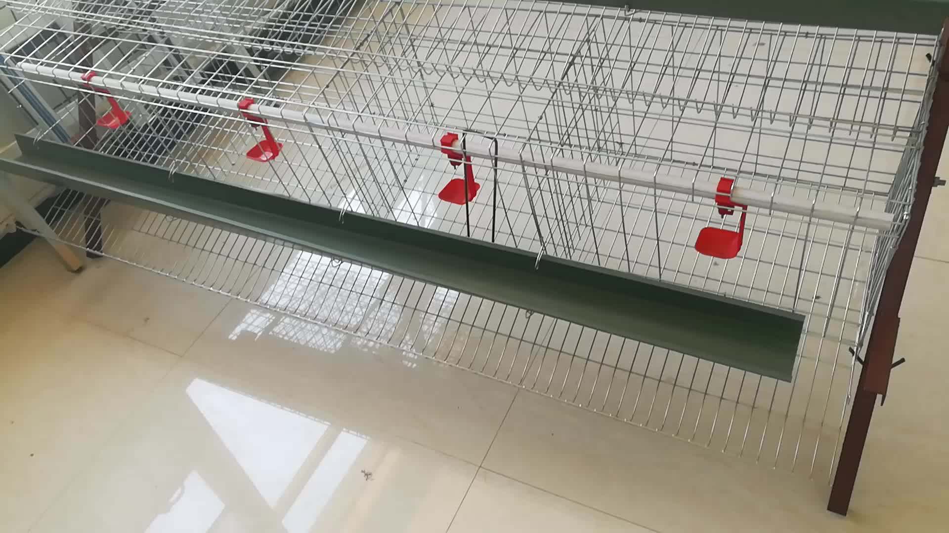 Best Sale Chicken Egg Layer Cages In South Africa - Buy Chicken Cage ...
