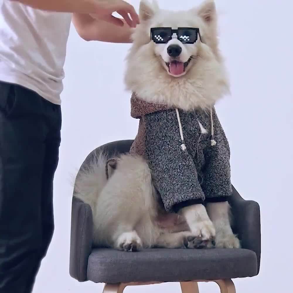 Wholesale Plush Two Legs Dog Clothes For Big Dogs Oem Buy Dog Clothes