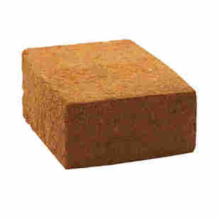 山西特产野酸枣面酸枣天然高纯含酸枣仁枣核拍2送1发3斤