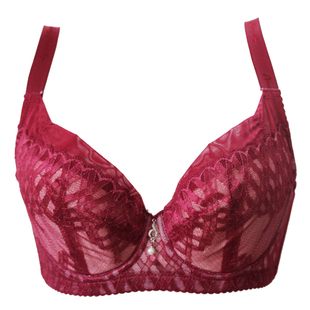 包邮 黛丽世家专柜正品侧收聚拢型无海棉大杯簿内衣D6036