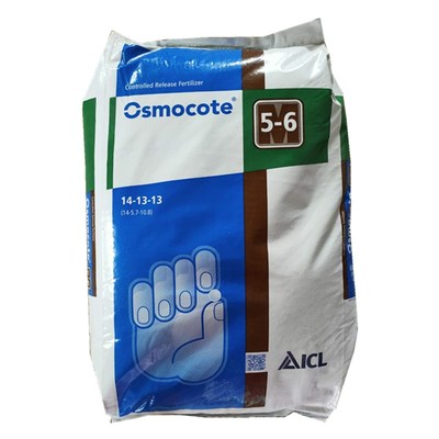 奥绿肥兰花君子兰异花