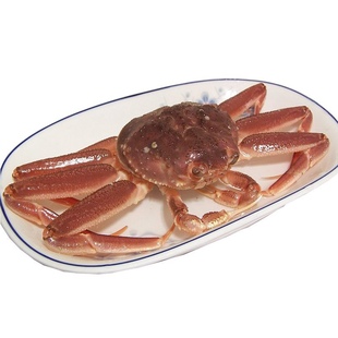 鲜活雪蟹籽蟹俄罗斯松叶蟹板雪长脚蟹海鲜称重改价上海闪送500g