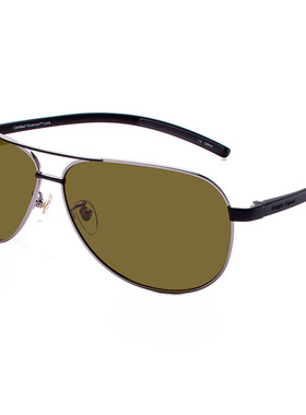 美国鹰眼偏光太阳镜男鹰视飞行员