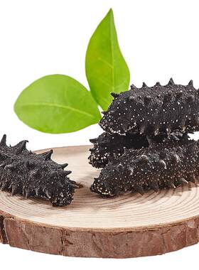 晓琴 7年淡干海参250g干货特价礼盒装高品质辽参刺参海生海渗