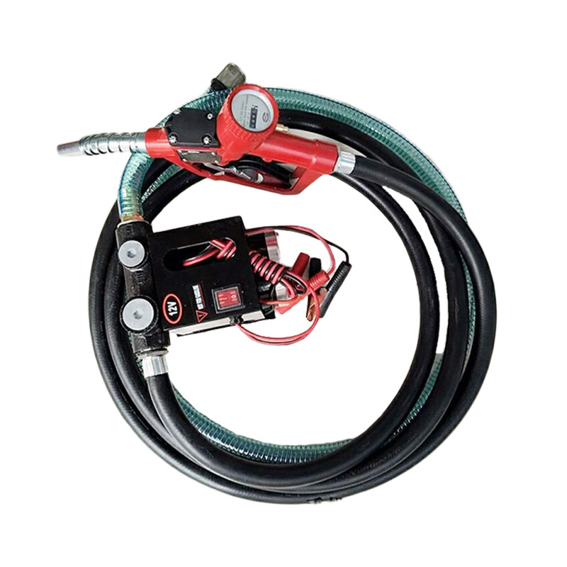 电动抽油泵12V24V220V柴油泵车载加油机计量加油枪组合套装带油管