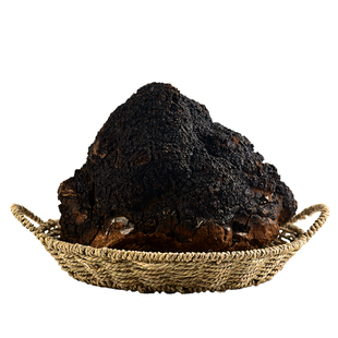 3斤多整块桦树茸俄罗斯西伯利亚进口野生白桦茸茶正宗桦褐孔菌