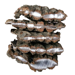 杜仲皮略阳杜仲伏牛山野生老树厚杜仲皮可泡茶泡酒1斤包邮带盔甲