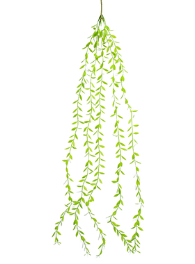吊兰金钟柳空调墙面装饰仿真植物