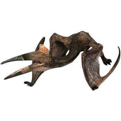 恐龙模型套装儿童塑胶玩具风神