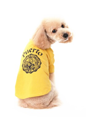 派比小型犬纯棉春夏体恤狗狗衣服