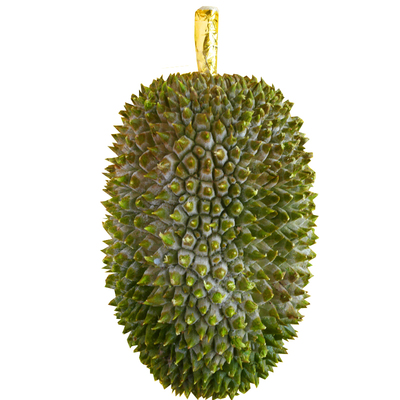 红肉王榴莲正品马来西亚进口D101