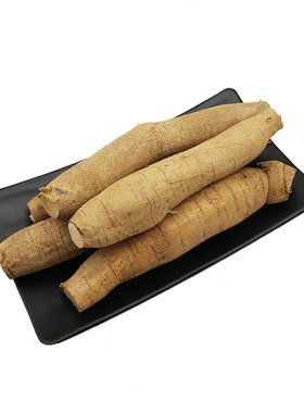 野生牛大力种子大力薯种苗