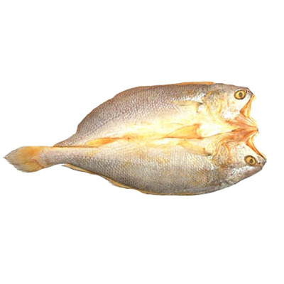 霞浦黄鱼鲞每条半斤大黄鱼