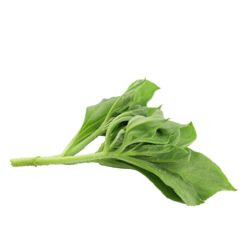 冰菜新鲜250g5盒水晶沙拉食材