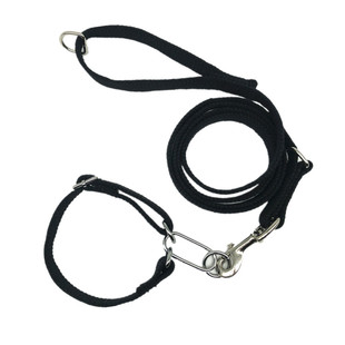 狗狗棉质牵引绳项圈格力犬惠比特脖圈灵缇犬细犬脖套防爆冲狗链子