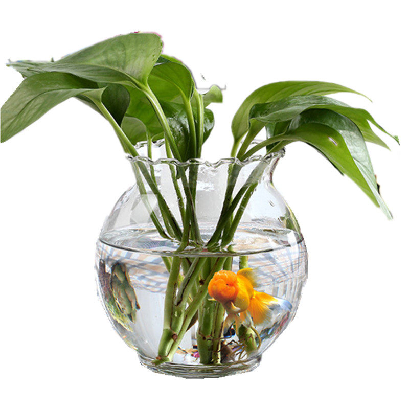 创意绿箩小水培植物花边口办公桌面玻璃花瓶摆件客厅花器迷你鱼缸