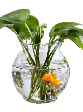 创意绿箩小水培植物鱼缸玻璃花瓶