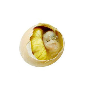 生的 六合活珠子鸡胚蛋凤凰蛋活的新鲜12/13天 旺鸡蛋鲜活 喜蛋