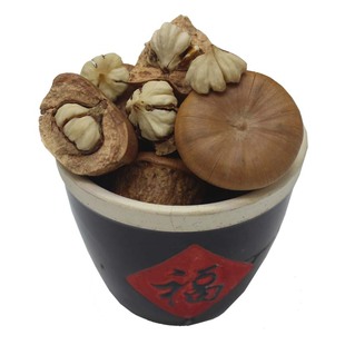 广西野生风流果正品500g新鲜龟头子养生酒男性滋补泡酒药材料