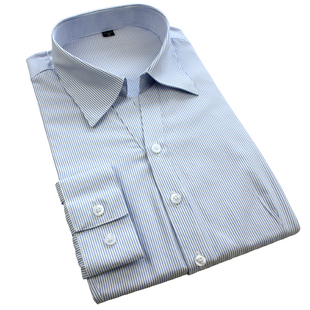 秋冬女士白底蓝色条纹职业衬衫酒店银行工装修身正装大码长袖免烫