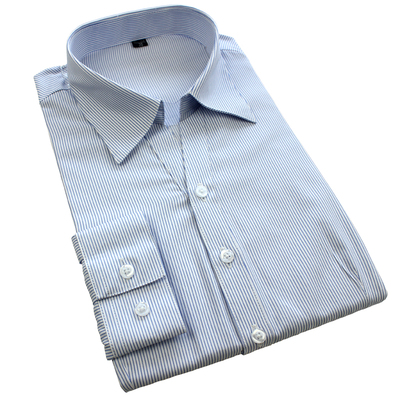 秋冬女士白底蓝色条纹职业衬衫酒店银行工装修身正装大码长袖免烫