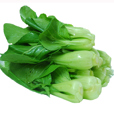 任选阳台春夏季包邮蔬菜种子