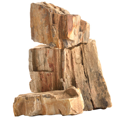 天然木化石件包邮