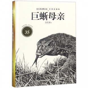 沈石溪动物小说·经典爱藏版系列 巨蜥母亲 沈石溪35周年经典再创 9~15岁中小学生课外读物儿童文学 小鹰逆风飞行