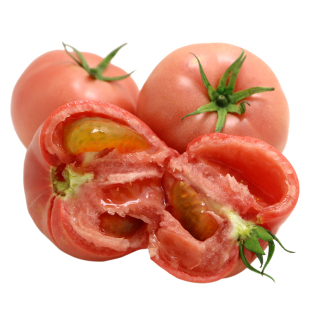 密农人家 密云西红柿500g 农家自然熟流沙番茄 不催红沙瓤多汁