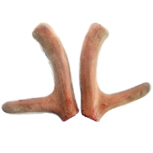 吉林双阳梅花鹿茸新鲜2025新货100克头茬正宗血茸鹿茸整枝只