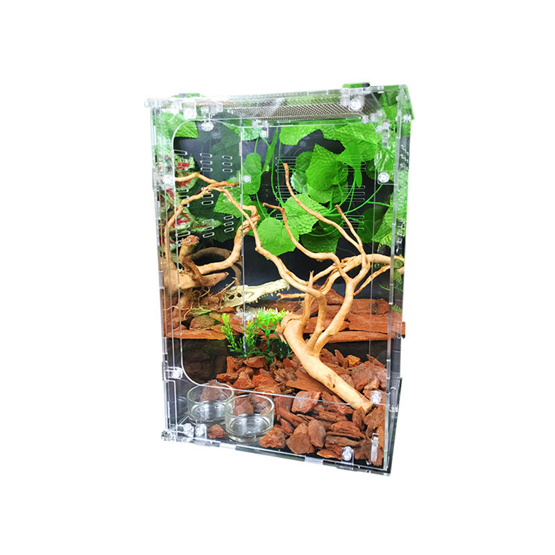 高冠变色龙饲养箱亚克力爬虫箱蜥爬宠缸/箱