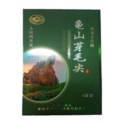 麻城特产龟山茶叶绿茶500克