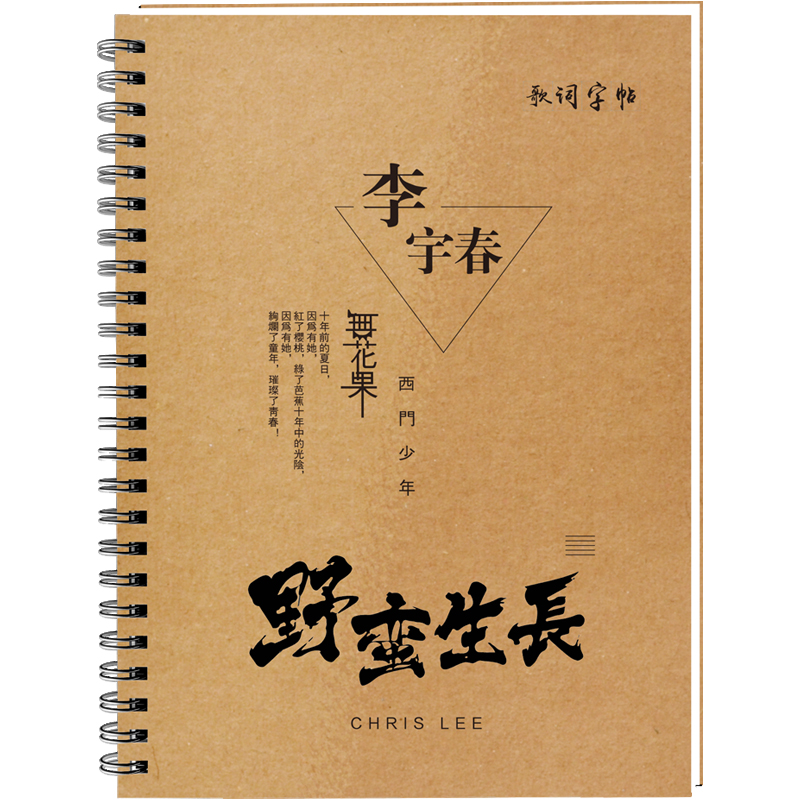 李宇春歌词本字帖周边签名纪念品成人行楷行书楷书硬笔临摹练字帖