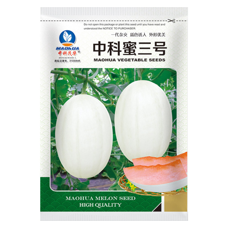 中科甜瓜种子东方蜜红肉香瓜