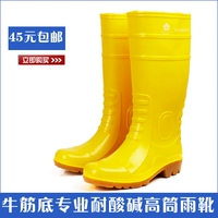 犲 锷 犲 镞 皻 鐢 烽 珮 绛 掗 洦 洦 氲 € 纰 洦闱 槬绉 槬绉 槻 戣 戣 € € € 愮 愮 愮 愮
