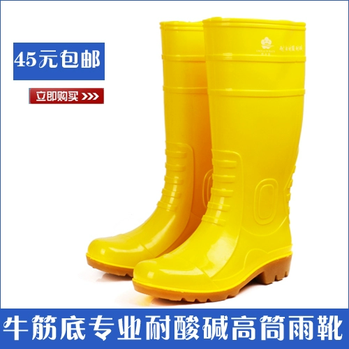 犲 锷 犲 镞 皻 鐢 烽 珮 绛 掗 洦 洦 氲 € 纰 洦闱 槬绉 槬绉 槻 戣 戣 € € € 愮 愮 愮 愮