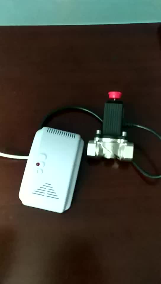 Kitchen Cooking Ac 220v Natural Gas/lpg Gas Leakage Detector With Shut