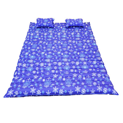 水床垫双人深生宿舍水床