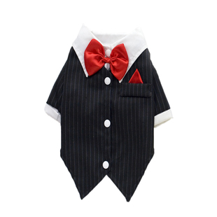 男狗狗泰迪约克夏猫咪衣服透气西装大狗新郎装伴郎装领结金毛秋装