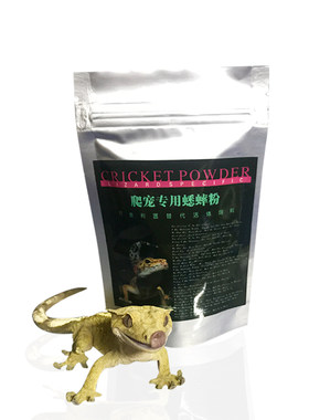 wikey爬宠屋守宫蟋蟀营养昆虫