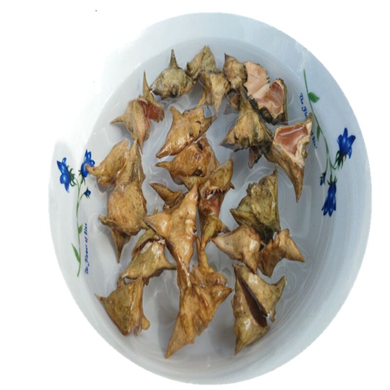 蔡卷卷纯野生四角菱角采摘菱角米